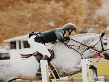  alt="FEI on bringing the industry closer to equestrian sports"  title="FEI on bringing the industry closer to equestrian sports" 