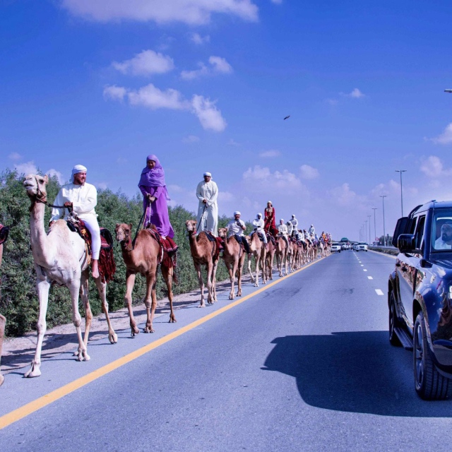 Photo: Mohammed bin Rashid meets with participants of ‘Camel Trek’